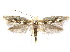  ( - CCDB-30824-C11)  @14 [ ] CreativeCommons - Attribution (2018) CBG Photography Group Centre for Biodiversity Genomics