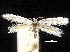  ( - CCDB-30824-D04)  @11 [ ] CreativeCommons - Attribution (2018) CBG Photography Group Centre for Biodiversity Genomics
