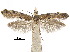  ( - CCDB-30824-E10)  @11 [ ] CreativeCommons - Attribution (2018) CBG Photography Group Centre for Biodiversity Genomics