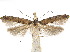  ( - CCDB-30824-E11)  @11 [ ] CreativeCommons - Attribution (2018) CBG Photography Group Centre for Biodiversity Genomics