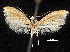  ( - CCDB-30824-E12)  @11 [ ] CreativeCommons - Attribution (2018) CBG Photography Group Centre for Biodiversity Genomics