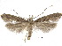  ( - CCDB-30824-H09)  @11 [ ] CreativeCommons - Attribution (2018) CBG Photography Group Centre for Biodiversity Genomics