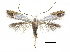  ( - CCDB-30825-E02)  @11 [ ] CreativeCommons - Attribution (2018) CBG Photography Group Centre for Biodiversity Genomics