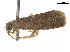  ( - CCDB-24712-B01)  @11 [ ] CreativeCommons - Attribution (2019) CBG Photography Group Centre for Biodiversity Genomics