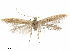  ( - CCDB-24712-C05)  @13 [ ] CreativeCommons - Attribution (2019) CBG Photography Group Centre for Biodiversity Genomics