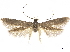  ( - CCDB-24712-C10)  @11 [ ] CreativeCommons - Attribution (2019) CBG Photography Group Centre for Biodiversity Genomics