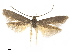  ( - CCDB-24712-C11)  @11 [ ] CreativeCommons - Attribution (2019) CBG Photography Group Centre for Biodiversity Genomics