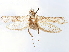  ( - CCDB-24712-F12)  @11 [ ] CreativeCommons - Attribution (2019) CBG Photography Group Centre for Biodiversity Genomics