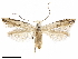  ( - CCDB-24712-G09)  @11 [ ] CreativeCommons - Attribution (2019) CBG Photography Group Centre for Biodiversity Genomics