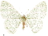  ( - CCDB-33582-F11)  @11 [ ] CreativeCommons - Attribution (2019) CBG Photography Group Centre for Biodiversity Genomics