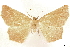  ( - CCDB-33585-G04)  @13 [ ] CreativeCommons - Attribution (2019) CBG Photography Group Centre for Biodiversity Genomics