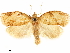  ( - CCDB-33586-B02)  @11 [ ] CreativeCommons - Attribution (2019) CBG Photography Group Centre for Biodiversity Genomics