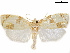  ( - CCDB-33586-B03)  @14 [ ] CreativeCommons - Attribution (2019) CBG Photography Group Centre for Biodiversity Genomics