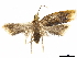  ( - CCDB-33586-C09)  @11 [ ] CreativeCommons - Attribution (2019) CBG Photography Group Centre for Biodiversity Genomics