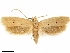  ( - CCDB-33586-C11)  @11 [ ] CreativeCommons - Attribution (2019) CBG Photography Group Centre for Biodiversity Genomics