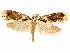  ( - CCDB-33586-E04)  @11 [ ] CreativeCommons - Attribution (2019) CBG Photography Group Centre for Biodiversity Genomics