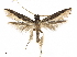  ( - CCDB-33586-E08)  @11 [ ] CreativeCommons - Attribution (2019) CBG Photography Group Centre for Biodiversity Genomics