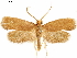  ( - CCDB-33586-H09)  @11 [ ] CreativeCommons - Attribution (2019) CBG Photography Group Centre for Biodiversity Genomics
