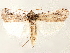  ( - CCDB-33587-A09)  @14 [ ] CreativeCommons - Attribution (2019) CBG Photography Group Centre for Biodiversity Genomics