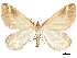  ( - CCDB-33597-G08)  @11 [ ] CreativeCommons - Attribution (2019) CBG Photography Group Centre for Biodiversity Genomics