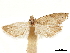  ( - CCDB-33977-D09)  @11 [ ] CreativeCommons - Attribution (2019) CBG Photography Group Centre for Biodiversity Genomics