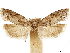  ( - CCDB-33977-D10)  @11 [ ] CreativeCommons - Attribution (2019) CBG Photography Group Centre for Biodiversity Genomics