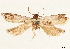  ( - CCDB-33979-G08)  @11 [ ] CreativeCommons - Attribution (2020) CBG Photography Group Centre for Biodiversity Genomics