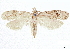 ( - CCDB-33980-A02)  @11 [ ] CreativeCommons - Attribution (2020) CBG Photography Group Centre for Biodiversity Genomics