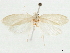  ( - CCDB-33980-B05)  @11 [ ] CreativeCommons - Attribution (2020) CBG Photography Group Centre for Biodiversity Genomics