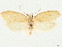  ( - CCDB-33980-B06)  @11 [ ] CreativeCommons - Attribution (2020) CBG Photography Group Centre for Biodiversity Genomics