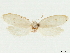  ( - CCDB-33980-B08)  @11 [ ] CreativeCommons - Attribution (2020) CBG Photography Group Centre for Biodiversity Genomics