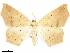  ( - CCDB-34075-C08)  @14 [ ] CreativeCommons - Attribution (2019) CBG Photography Group Centre for Biodiversity Genomics