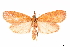  ( - CCDB-34076-A02)  @11 [ ] CreativeCommons - Attribution (2019) CBG Photography Group Centre for Biodiversity Genomics