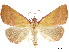 ( - CCDB-34726-B05)  @14 [ ] CreativeCommons - Attribution (2020) CBG Photography Group Centre for Biodiversity Genomics