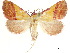  ( - CCDB-34726-B07)  @15 [ ] CreativeCommons - Attribution (2020) CBG Photography Group Centre for Biodiversity Genomics