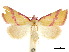  ( - CCDB-34726-B11)  @11 [ ] CreativeCommons - Attribution (2020) CBG Photography Group Centre for Biodiversity Genomics
