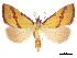  ( - CCDB-34726-B12)  @11 [ ] CreativeCommons - Attribution (2020) CBG Photography Group Centre for Biodiversity Genomics