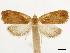  ( - CCDB-34785-G01)  @11 [ ] CreativeCommons - Attribution (2019) CBG Photography Group Centre for Biodiversity Genomics