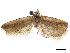  ( - CCDB-34786-C01)  @11 [ ] CreativeCommons - Attribution (2019) CBG Photography Group Centre for Biodiversity Genomics