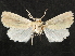  ( - CCDB-34786-D12)  @11 [ ] CreativeCommons - Attribution (2019) CBG Photography Group Centre for Biodiversity Genomics