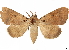  ( - CCDB-34786-G12)  @11 [ ] CreativeCommons - Attribution (2019) CBG Photography Group Centre for Biodiversity Genomics