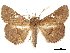  ( - CCDB-34786-H05)  @11 [ ] CreativeCommons - Attribution (2019) CBG Photography Group Centre for Biodiversity Genomics