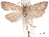  ( - CCDB-34788-A07)  @11 [ ] CreativeCommons - Attribution (2020) CBG Photography Group Centre for Biodiversity Genomics