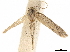  ( - CCDB-34788-D06)  @11 [ ] CreativeCommons - Attribution (2020) CBG Photography Group Centre for Biodiversity Genomics