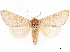  ( - CCDB-34788-F09)  @11 [ ] CreativeCommons - Attribution (2020) CBG Photography Group Centre for Biodiversity Genomics