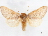  ( - CCDB-34788-F10)  @11 [ ] CreativeCommons - Attribution (2020) CBG Photography Group Centre for Biodiversity Genomics