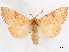  ( - CCDB-34788-F11)  @11 [ ] CreativeCommons - Attribution (2020) CBG Photography Group Centre for Biodiversity Genomics