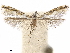  ( - CCDB-34789-A08)  @11 [ ] CreativeCommons - Attribution (2020) CBG Photography Group Centre for Biodiversity Genomics