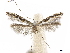 ( - CCDB-34789-A09)  @11 [ ] CreativeCommons - Attribution (2020) CBG Photography Group Centre for Biodiversity Genomics