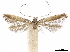  ( - CCDB-34789-D07)  @11 [ ] CreativeCommons - Attribution (2020) CBG Photography Group Centre for Biodiversity Genomics